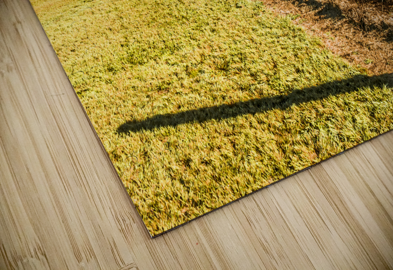 Farmland view Jorgo Puzzle