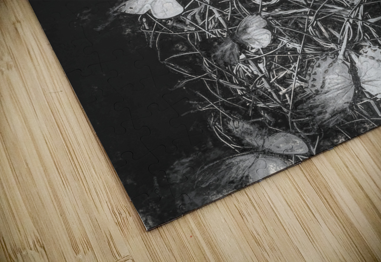 Desimilation  Jorgo Puzzle