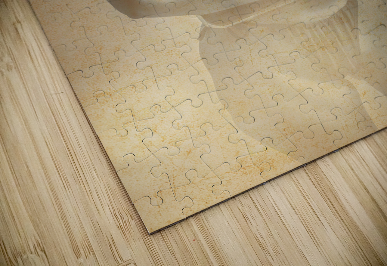 Radio Reproduction Jorgo Puzzle