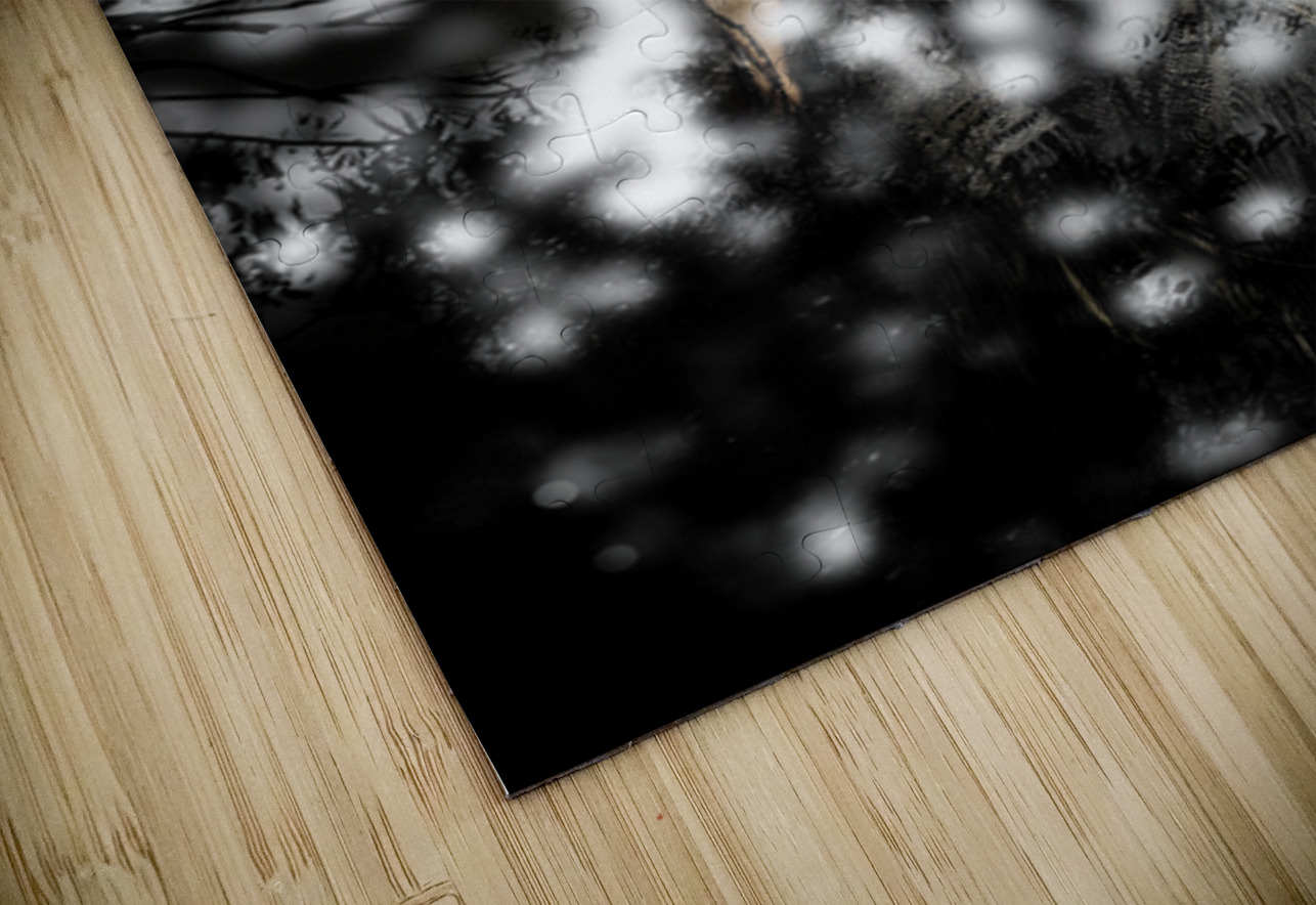 Sophistication And Style Jorgo Puzzle