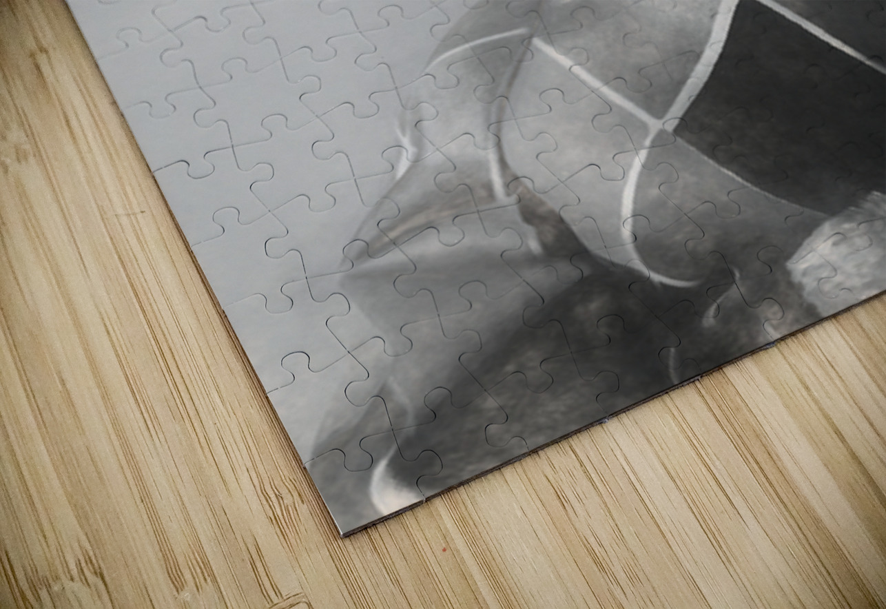 Charcoal Circus Jorgo Puzzle