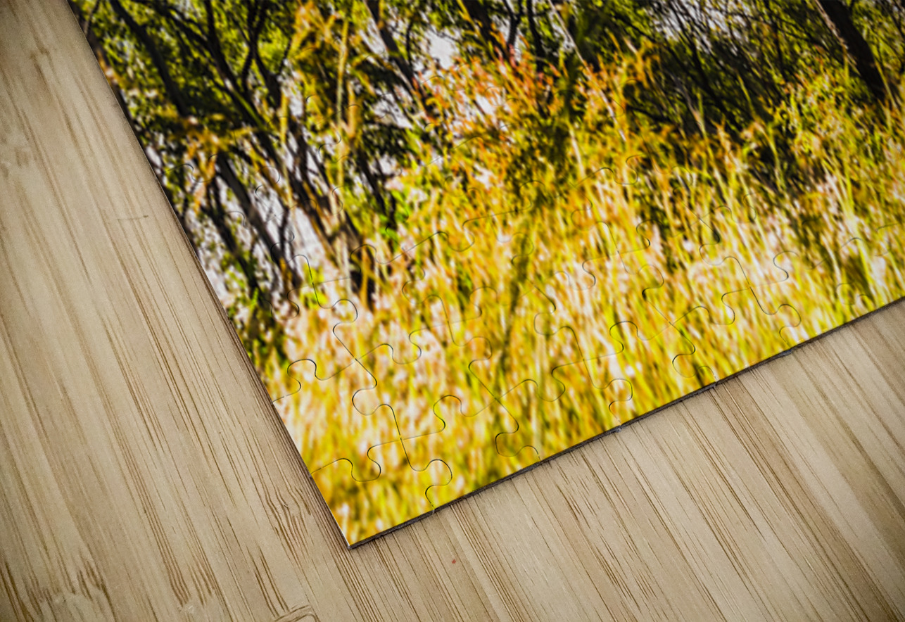 Mount Perry Jorgo Puzzle