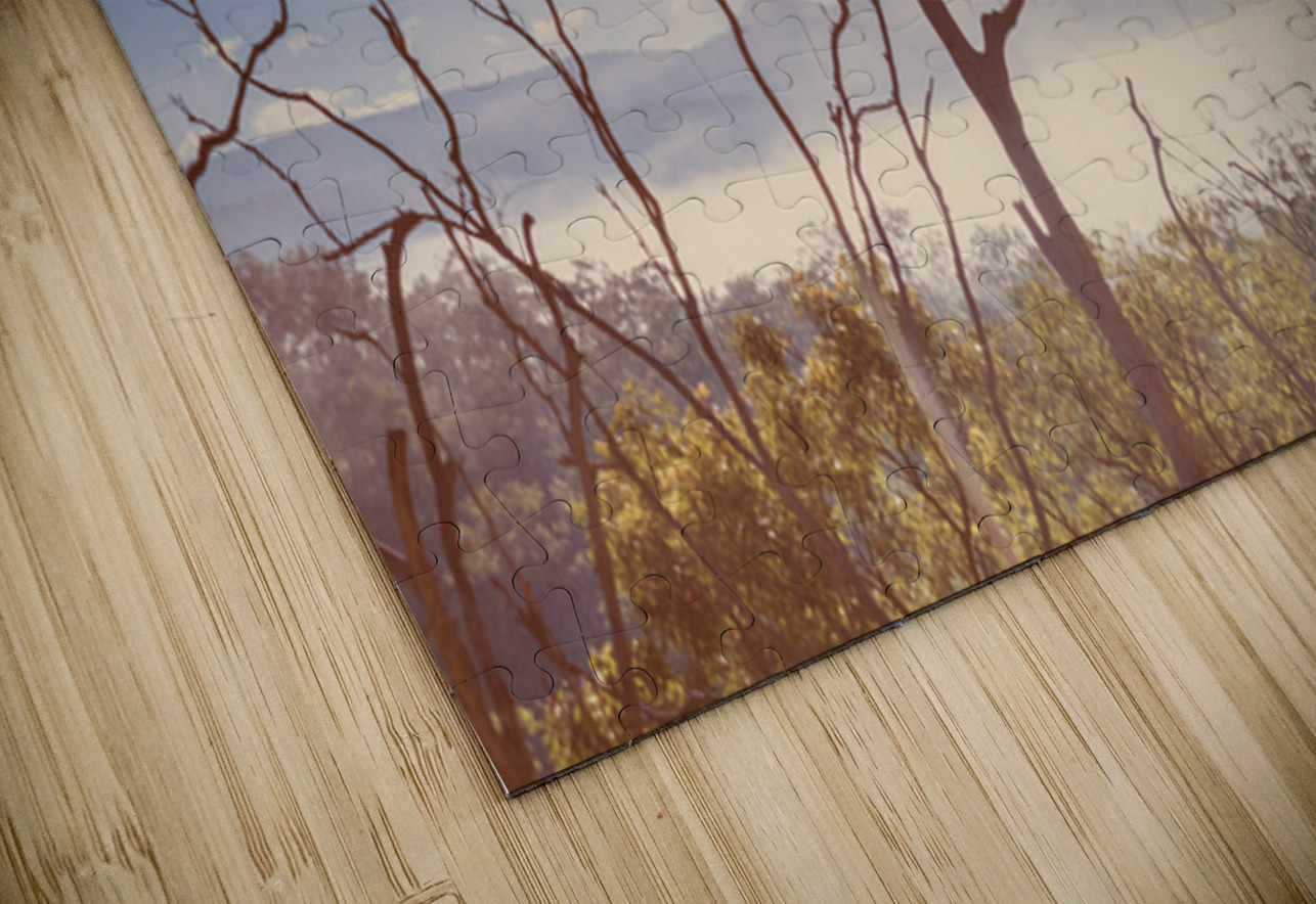 Gently Abounding Jorgo Puzzle