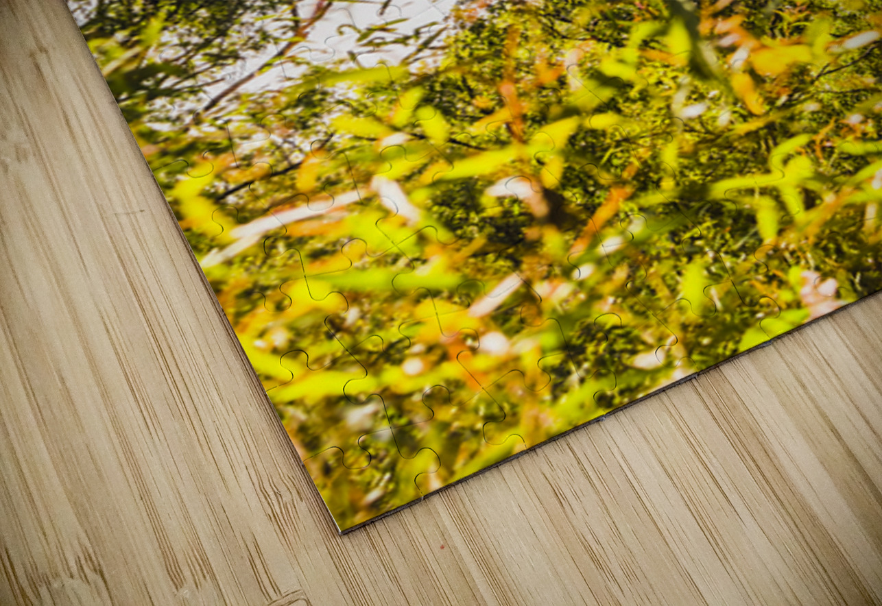 Glimpses Of Mt Perry Jorgo Puzzle