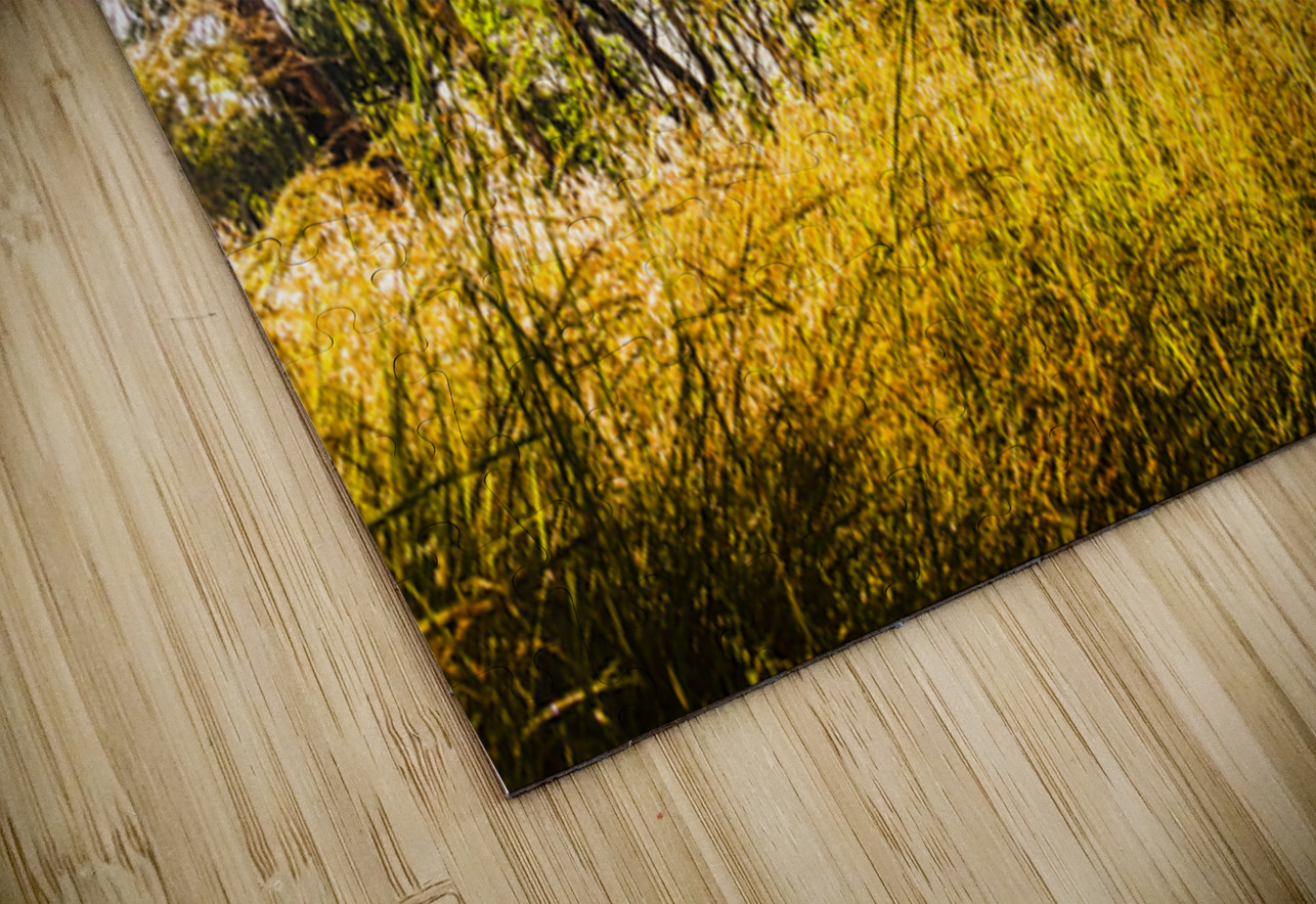 Golden views Jorgo Puzzle