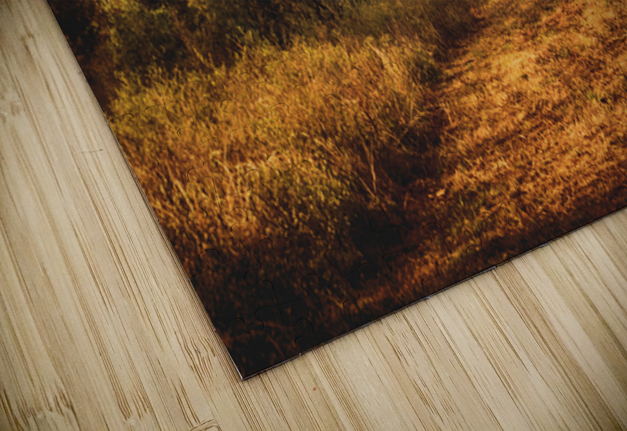 Wild Old Ways Jorgo Puzzle