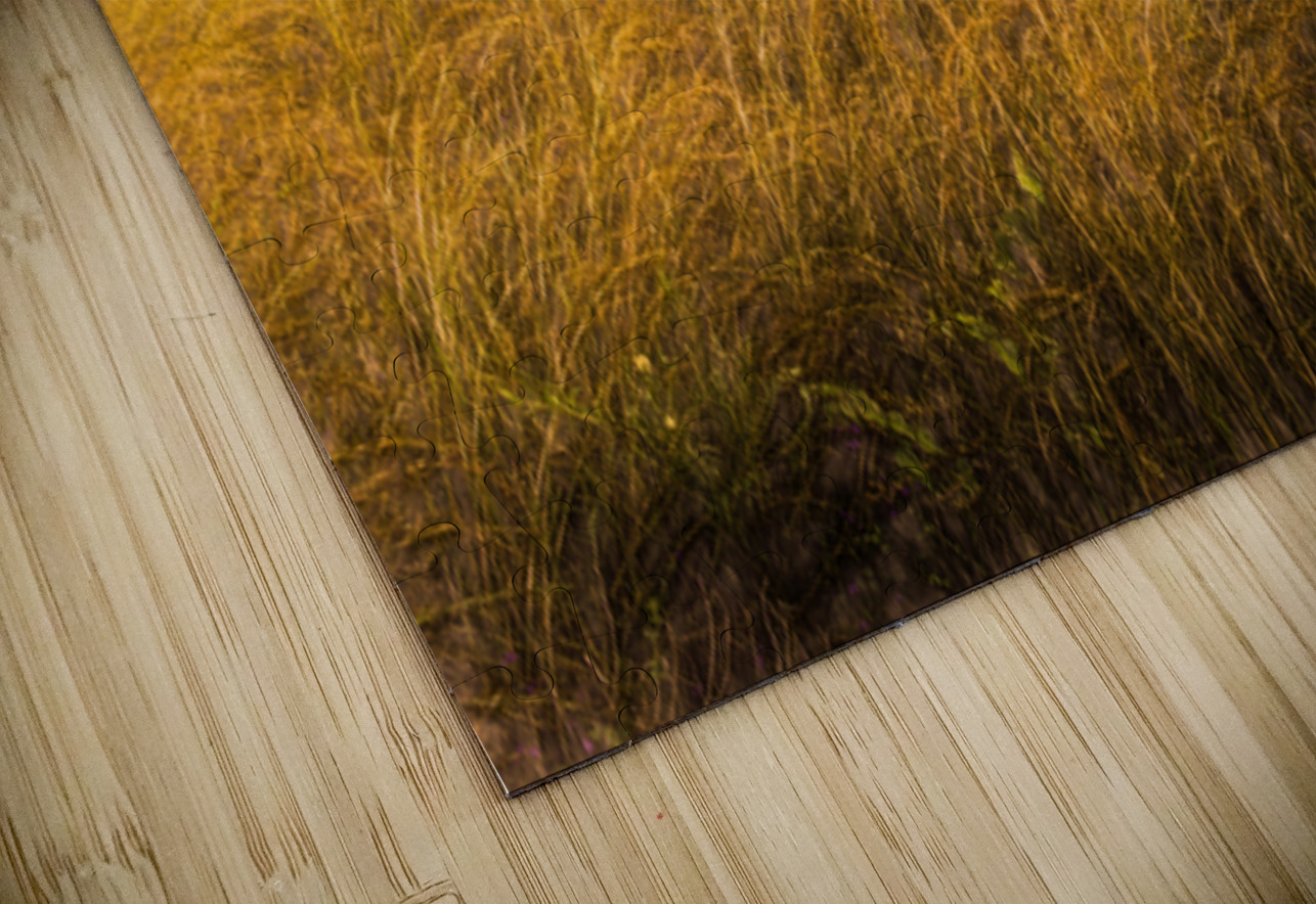 In The Outbacks Jorgo Puzzle