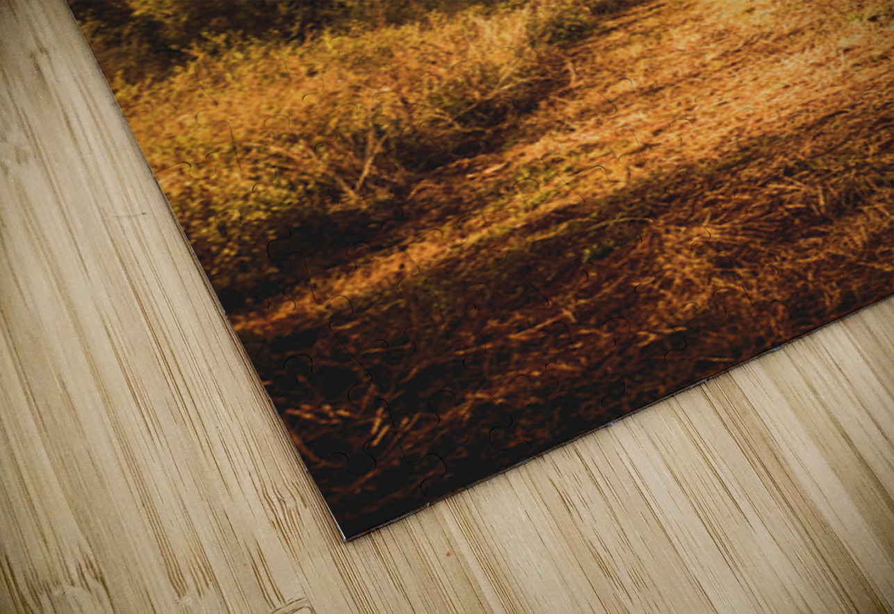 Country Weathered Jorgo Puzzle