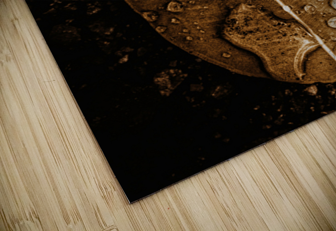 Autumn Rains Jorgo Puzzle