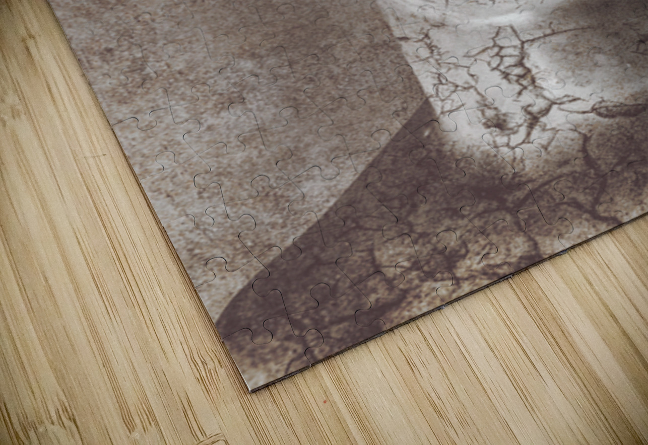 Beauty Never Fades Jorgo Puzzle