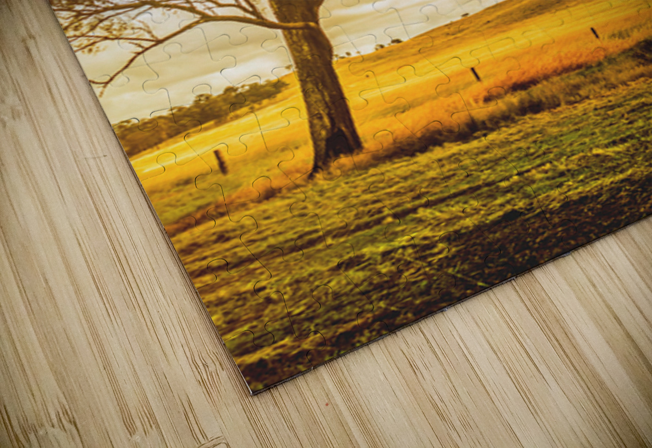 Outback Gold Jorgo Puzzle