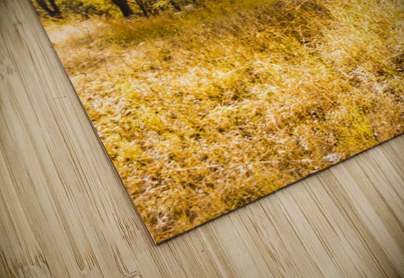 Queensland Country Jorgo Puzzle