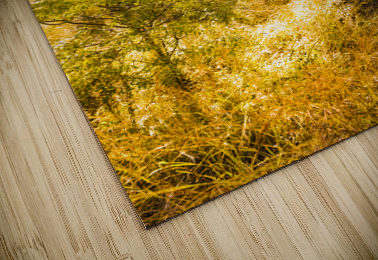 Lofty Heights Jorgo Puzzle