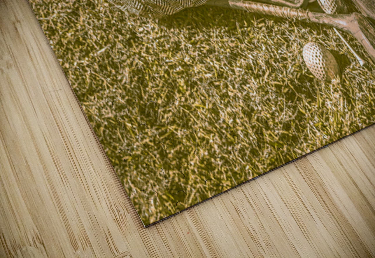 Old Hat Jorgo Puzzle