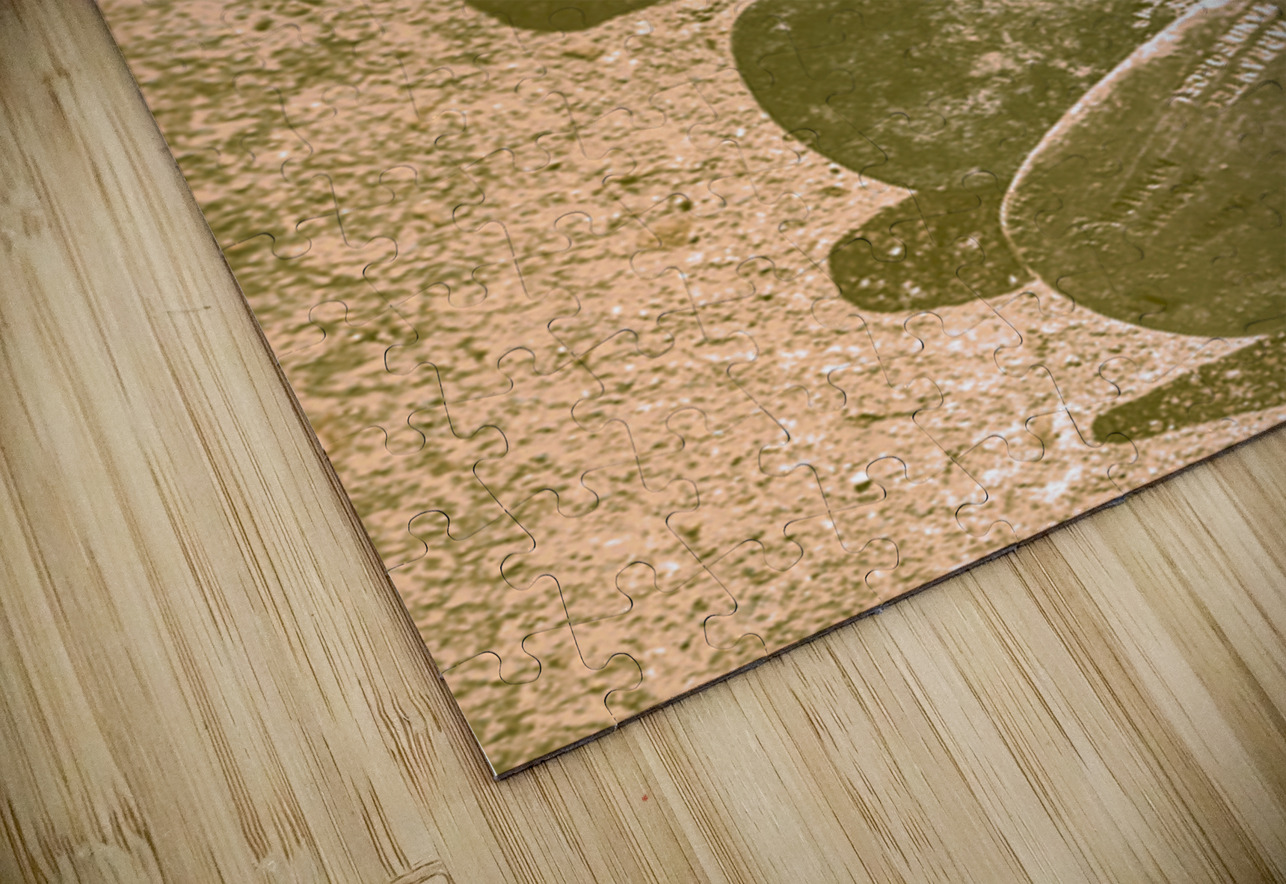 Ironing Day Jorgo Puzzle