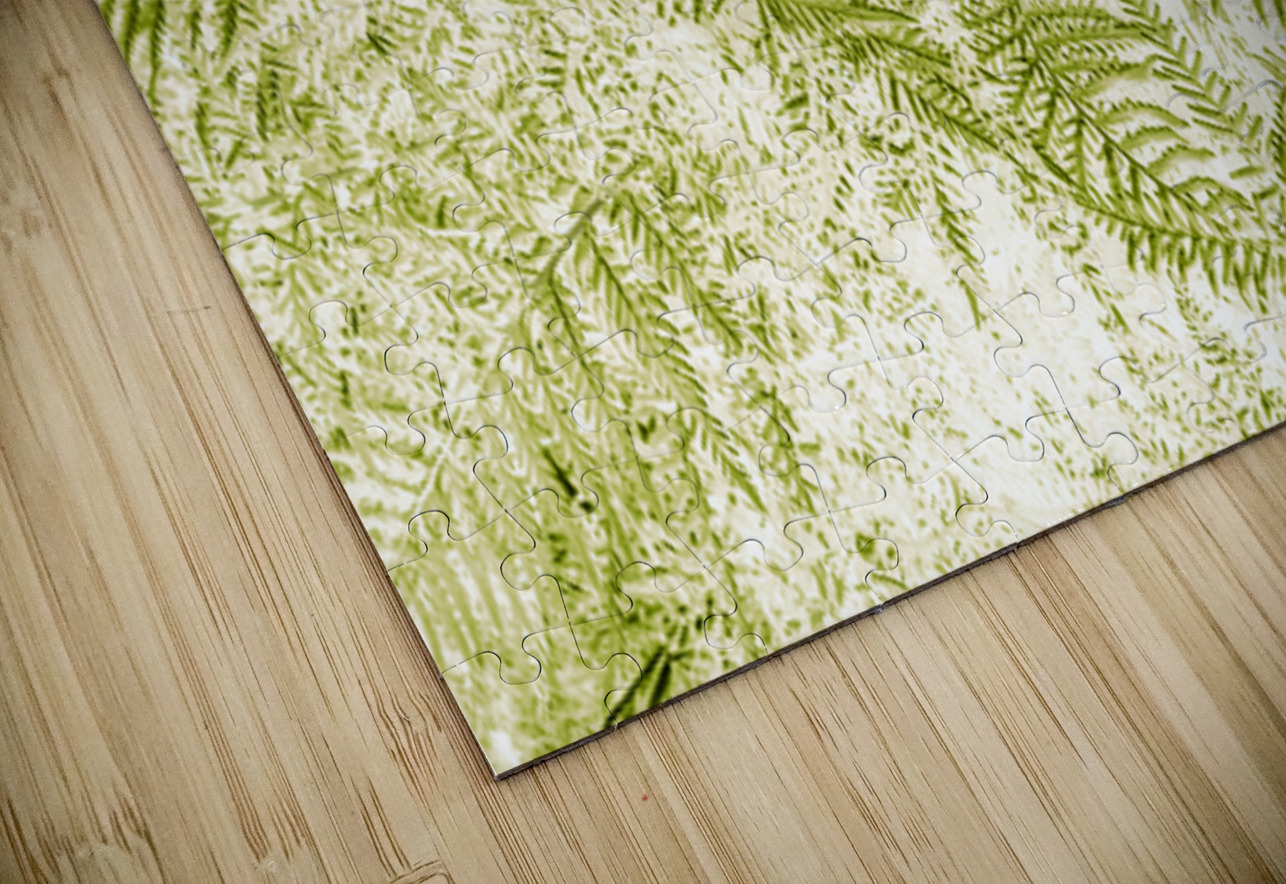 Ferny Forestry Jorgo Puzzle