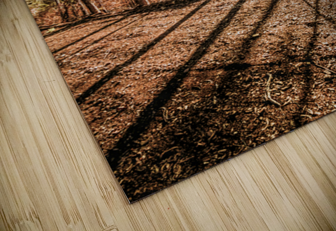 Valley Ridge Road Jorgo Puzzle