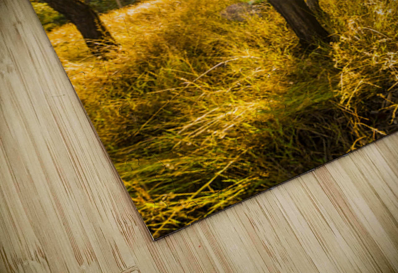 Wooded Light Jorgo Puzzle