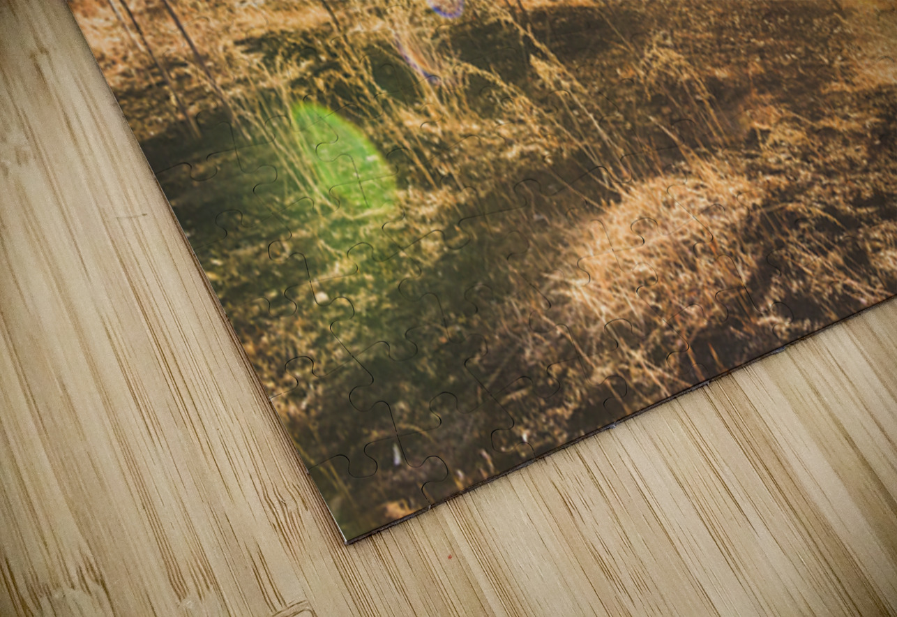 Flares And Fades Jorgo Puzzle