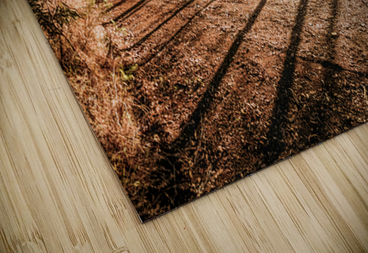 Upcountry Ridgeline Jorgo Puzzle