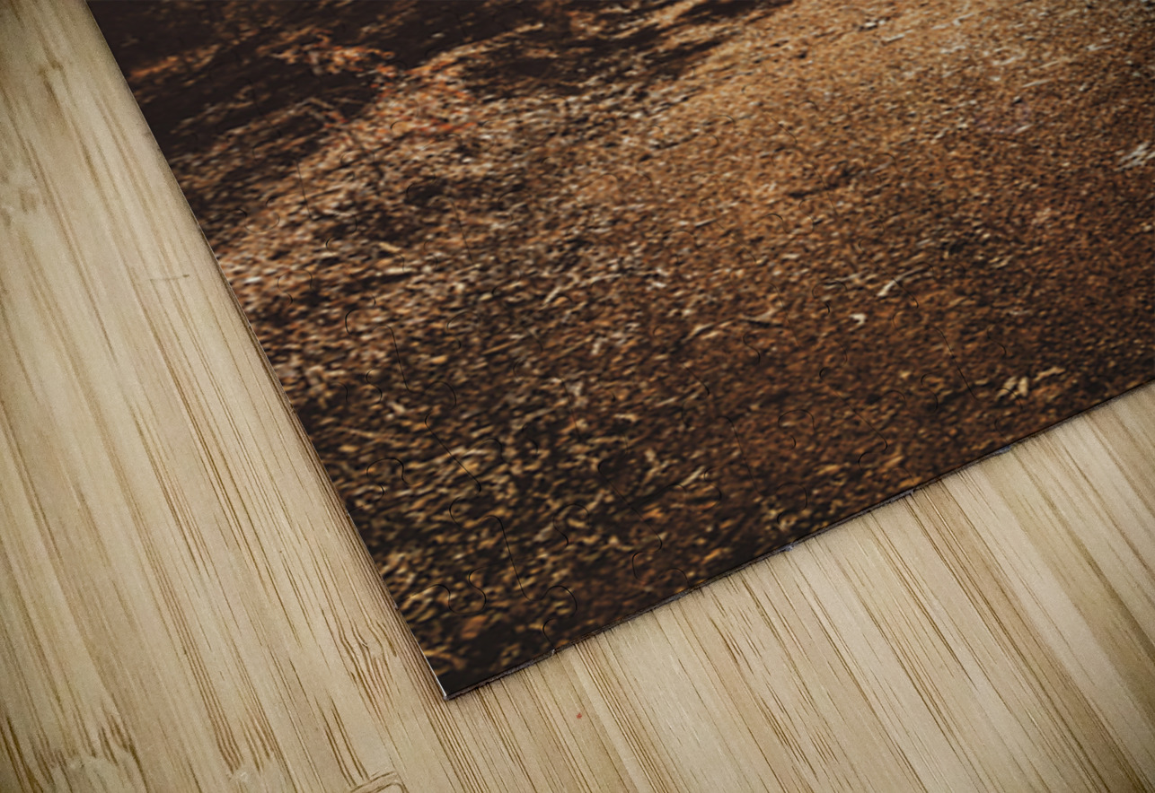 Sunflare Thoroughfare  Jorgo Puzzle