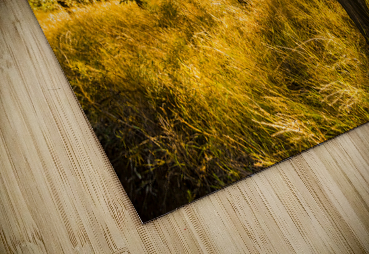 Grasslands Golden Jorgo Puzzle