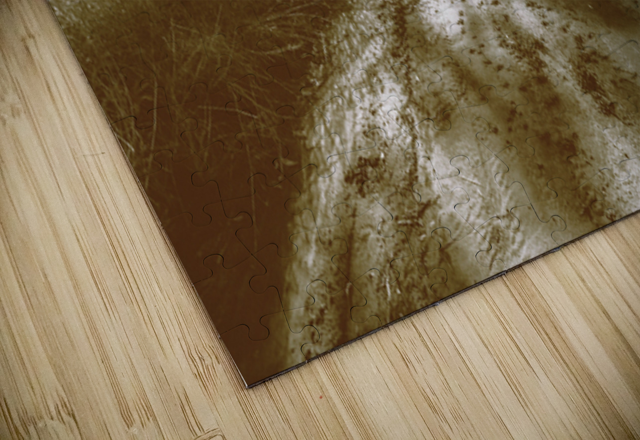 Tessellated Trail Jorgo Puzzle