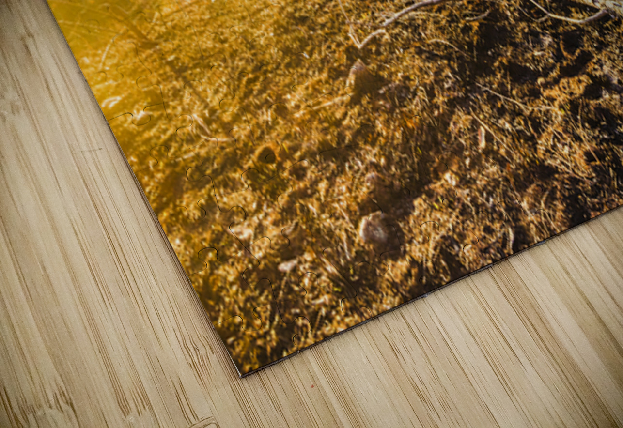 Awash In Sundown Jorgo Puzzle