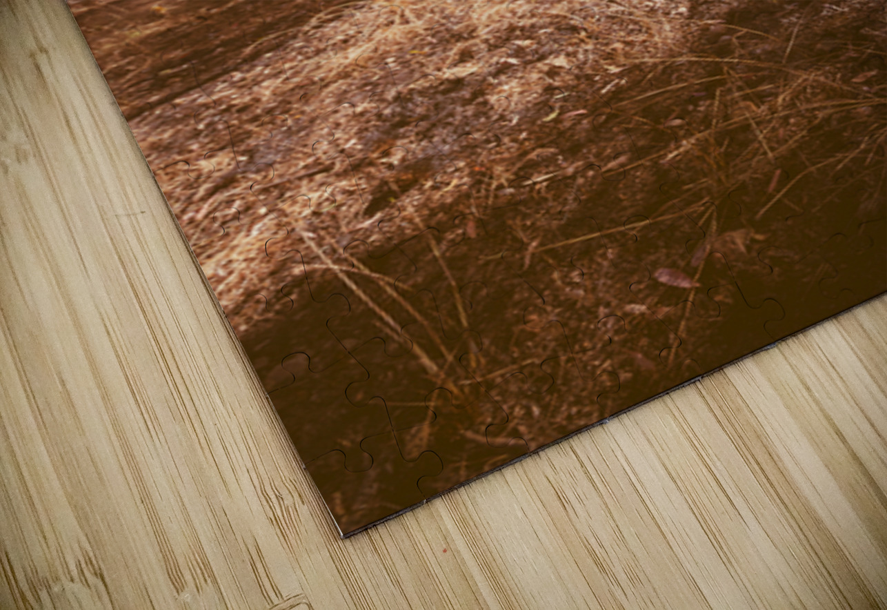 Afternoons Afterglow Jorgo Puzzle