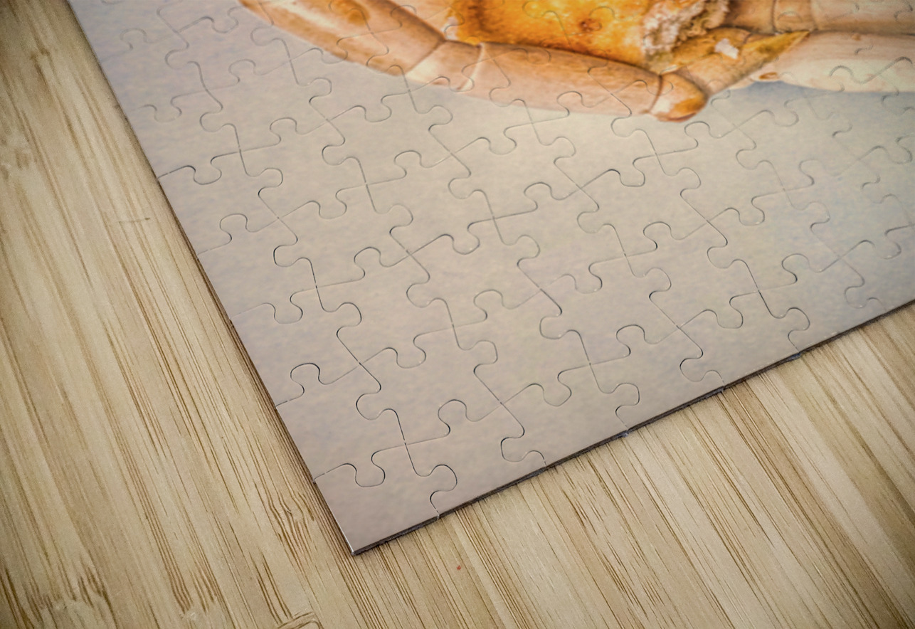 Donut Duo Jorgo Puzzle