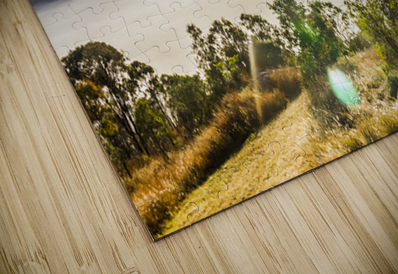 Dramatic Dawning Jorgo Puzzle