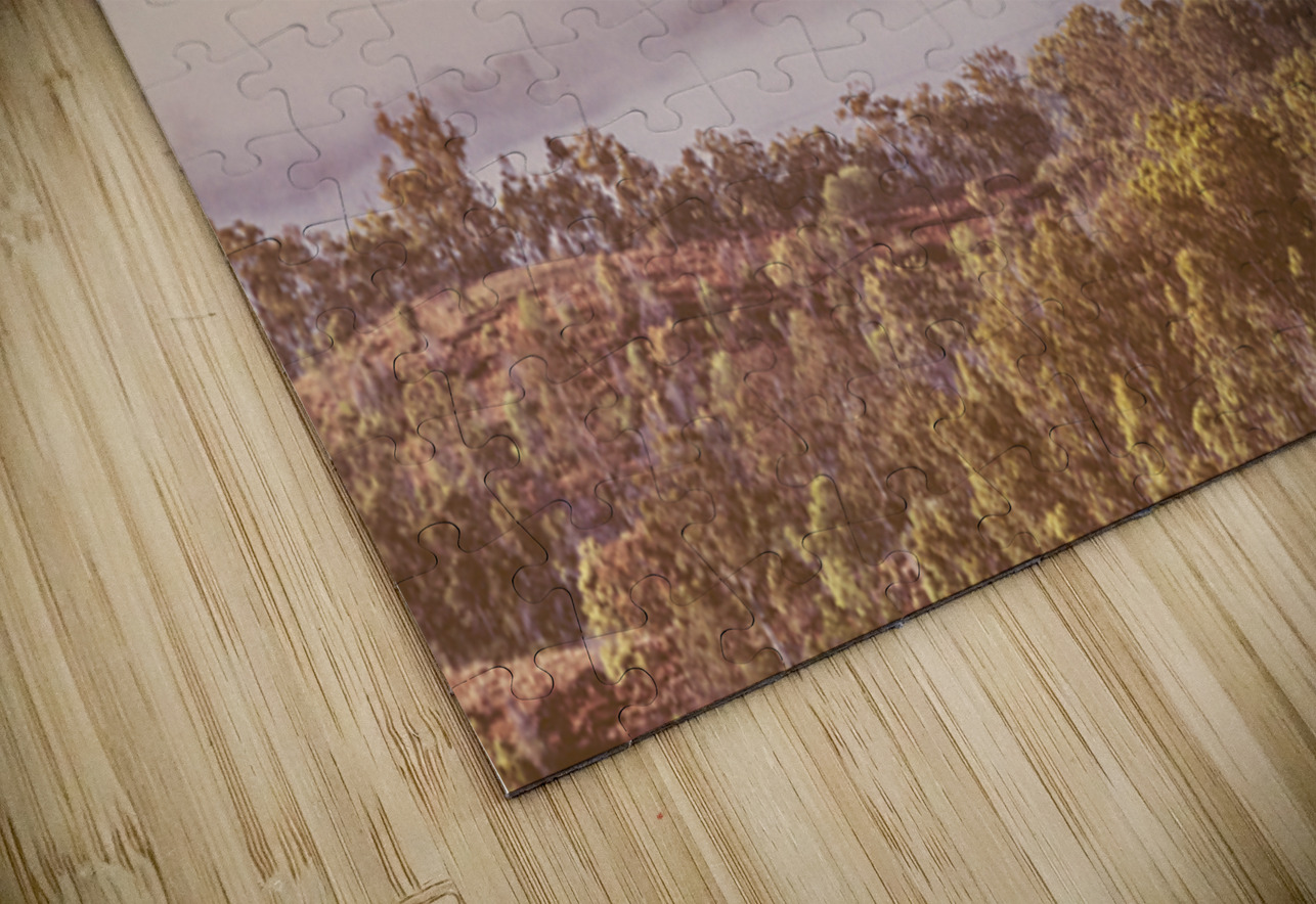 Wooded Fog Jorgo Puzzle