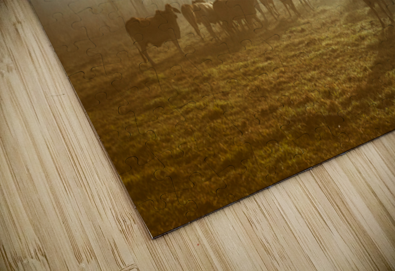Foggy Farm Jorgo Puzzle