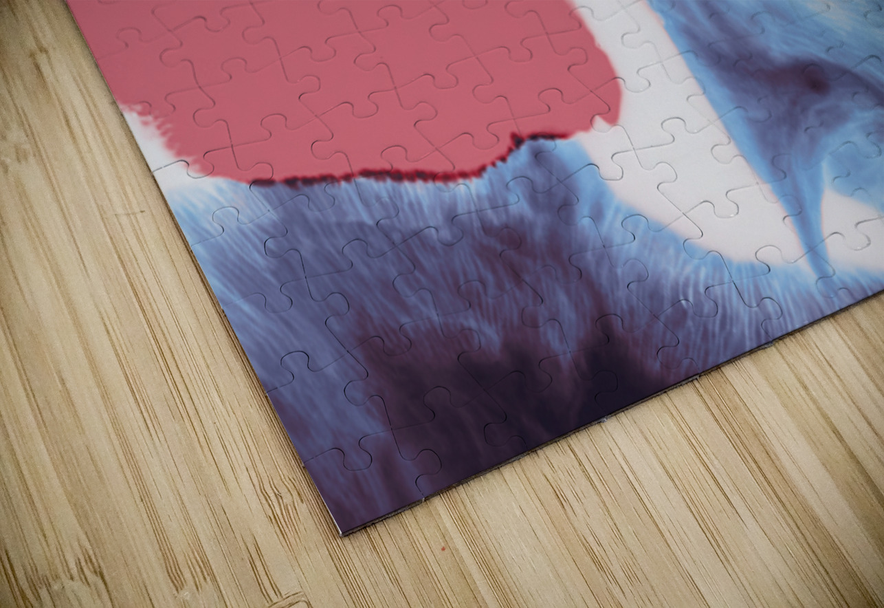 Peering Perspectives Jorgo Puzzle