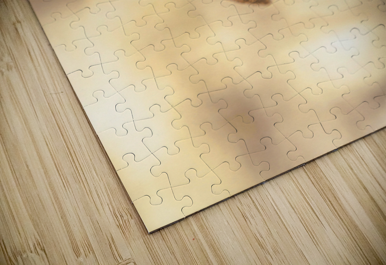 Summery Bee Jorgo Puzzle