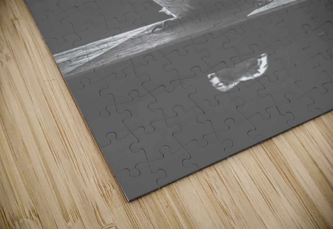 Bushy Smile Jorgo Puzzle