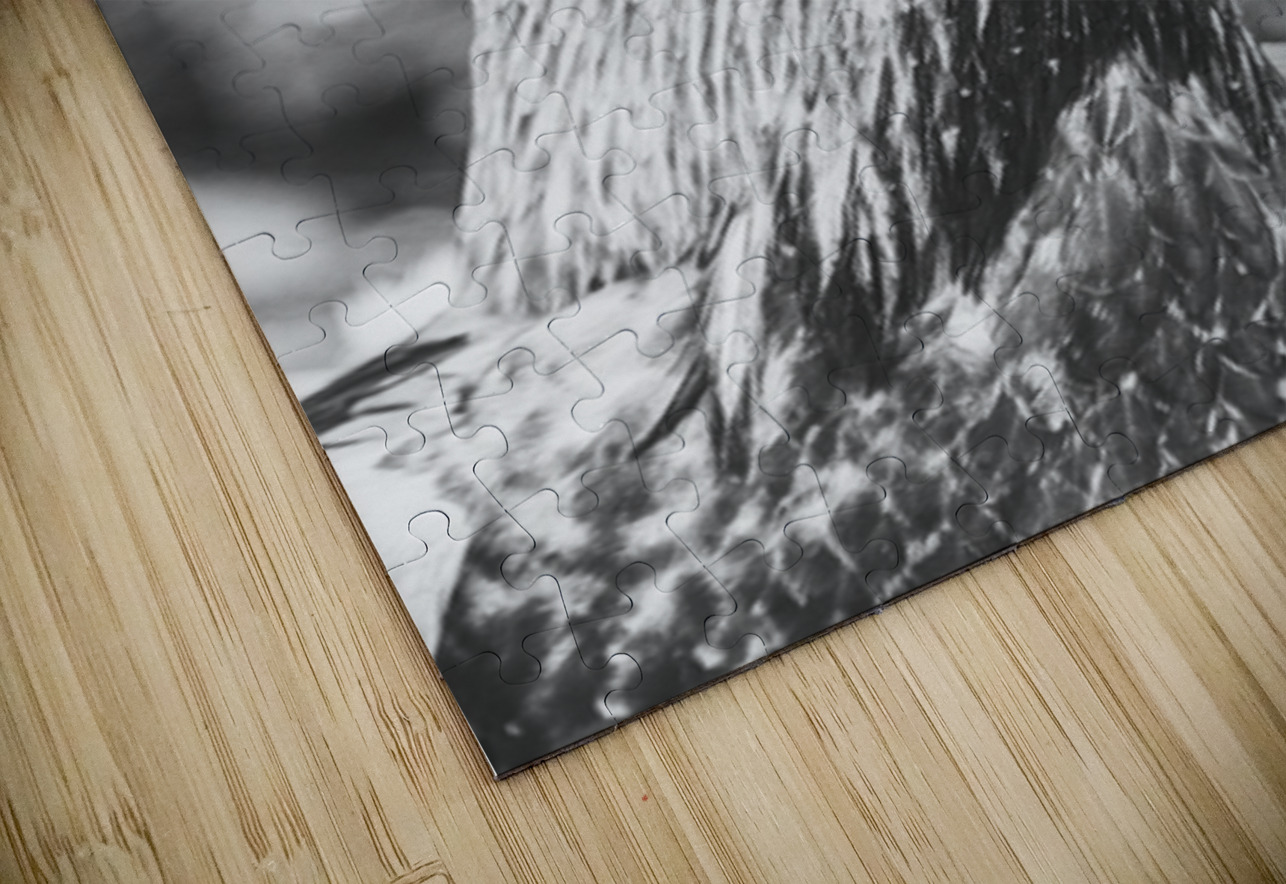 Rooster Red  Jorgo Puzzle