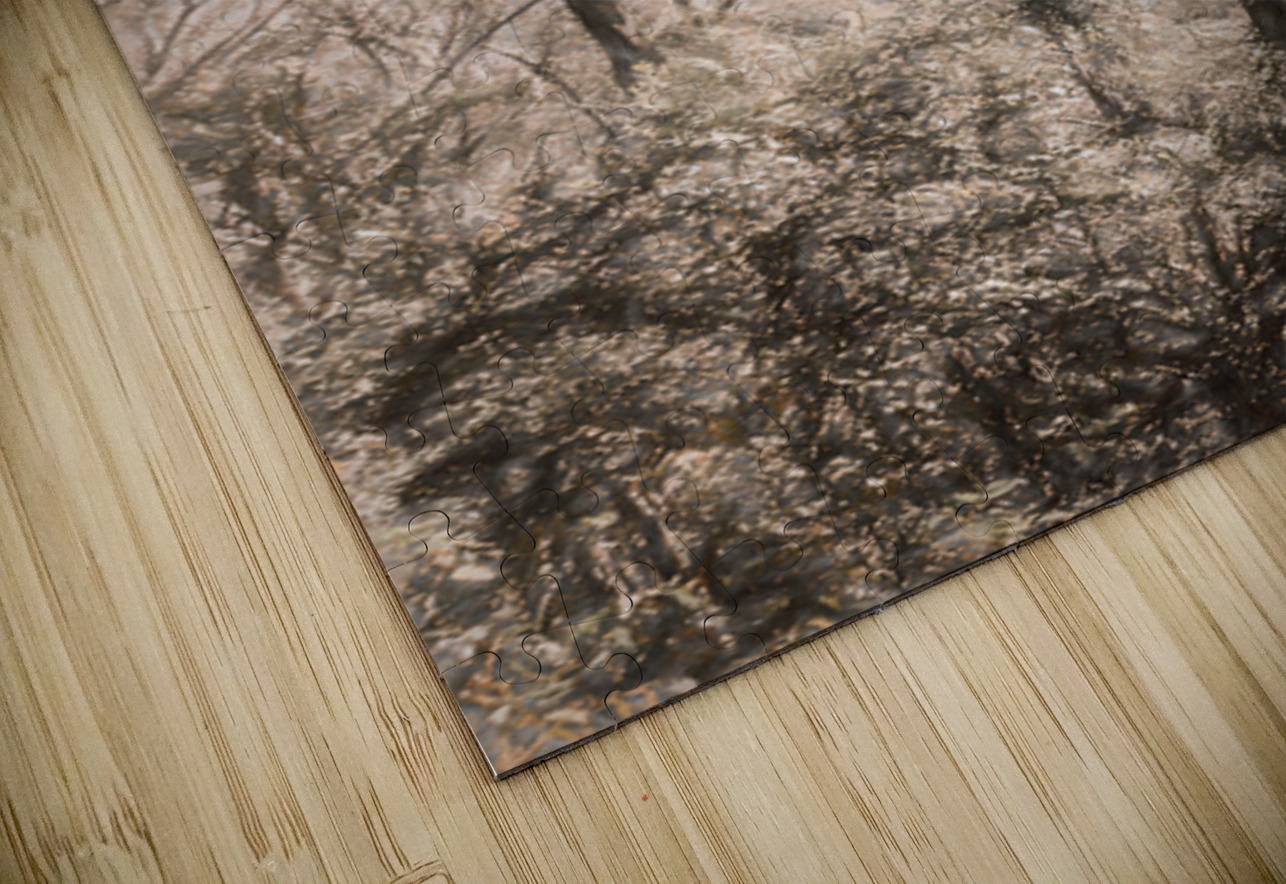 Calm Subtleties Jorgo Puzzle