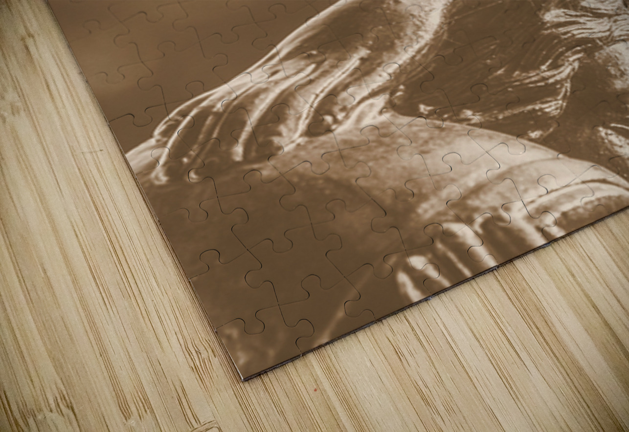 Courtyard Kookaburra Jorgo Puzzle