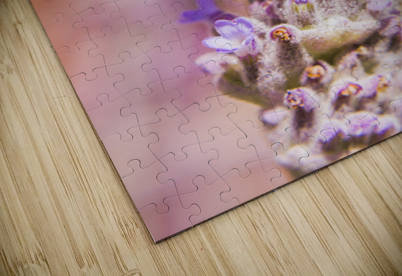 Busy Bee Jorgo Puzzle