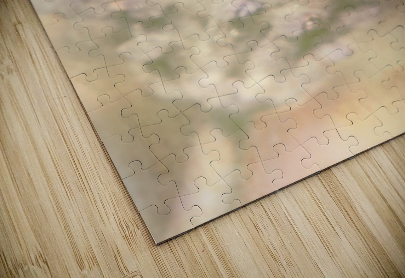 Honeybee Summers Jorgo Puzzle