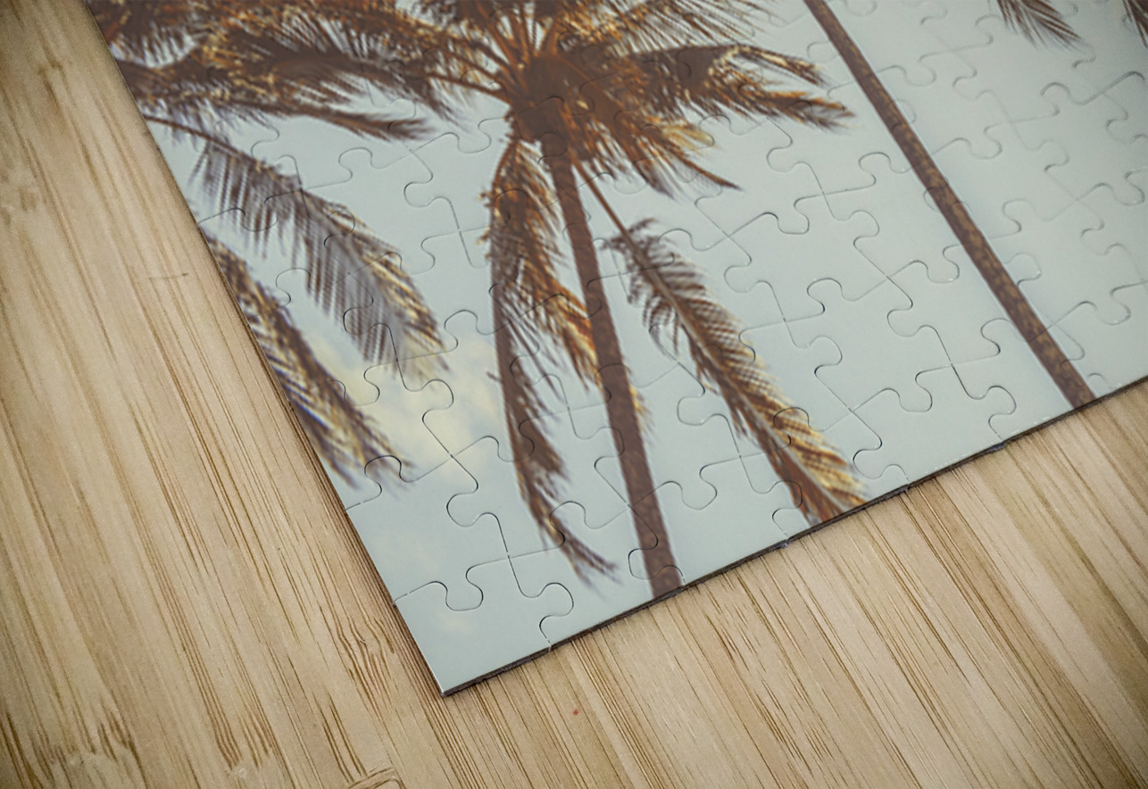 Palmy Summers Jorgo Puzzle