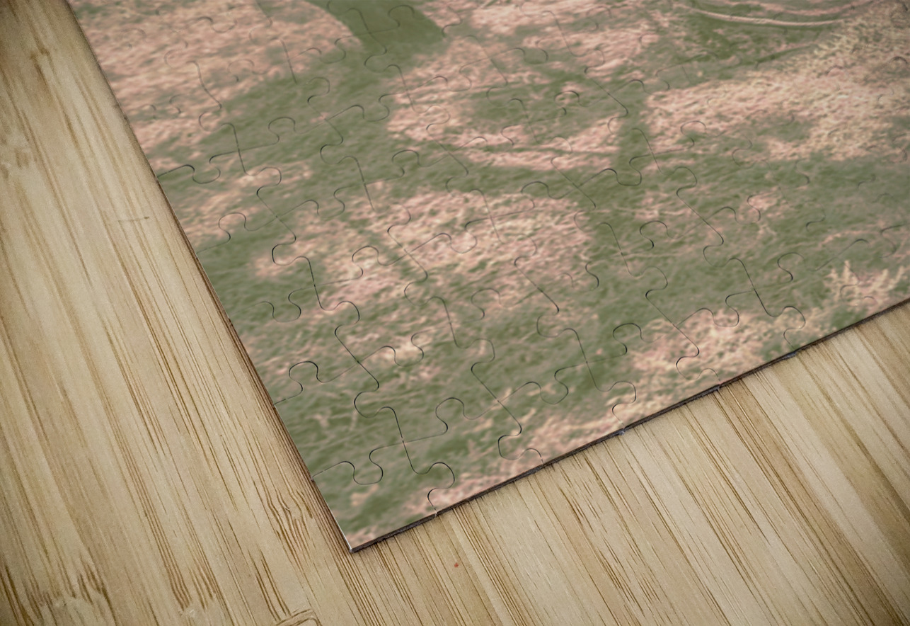 Dune Wash Jorgo Puzzle