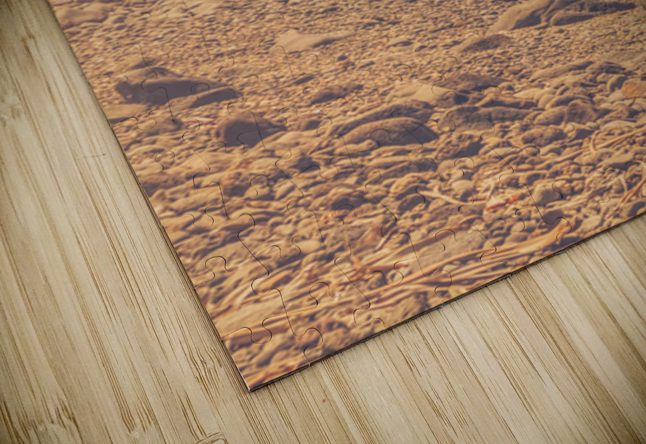 Ocean Afternoons Jorgo Puzzle