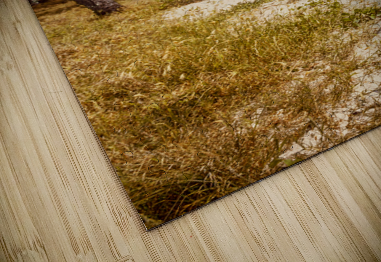 Paradise Pastel Jorgo Puzzle