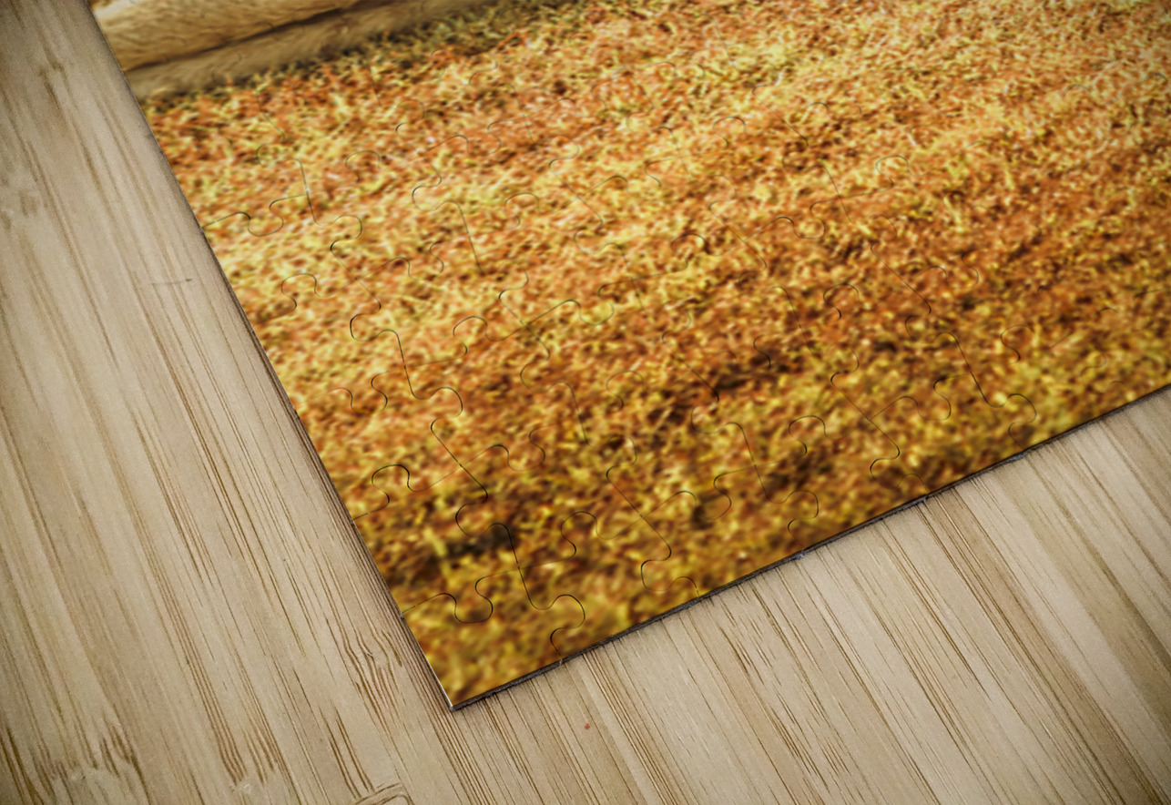 Australian Lawn Mower Jorgo Puzzle