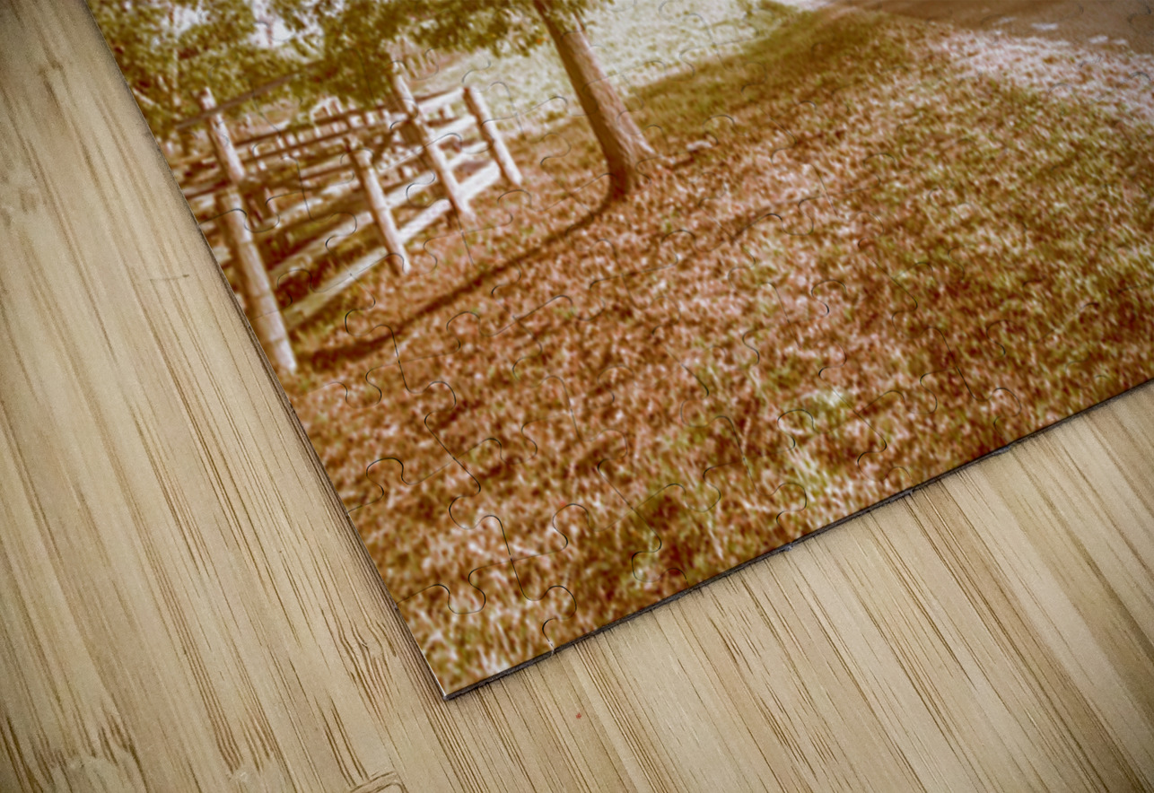 Acacia Avenue Jorgo Puzzle