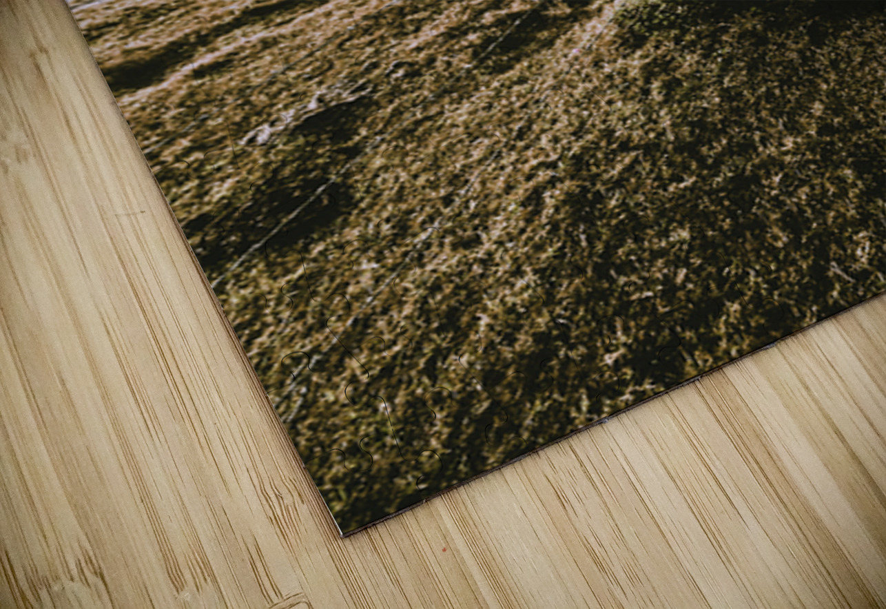 Borderlines Jorgo Puzzle