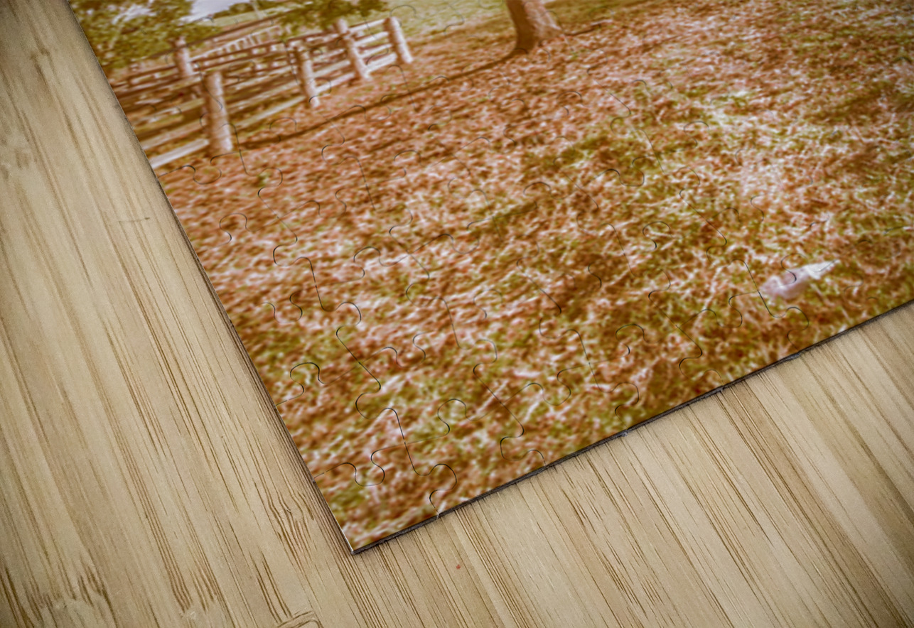 Golden Wattle Lane Jorgo Puzzle