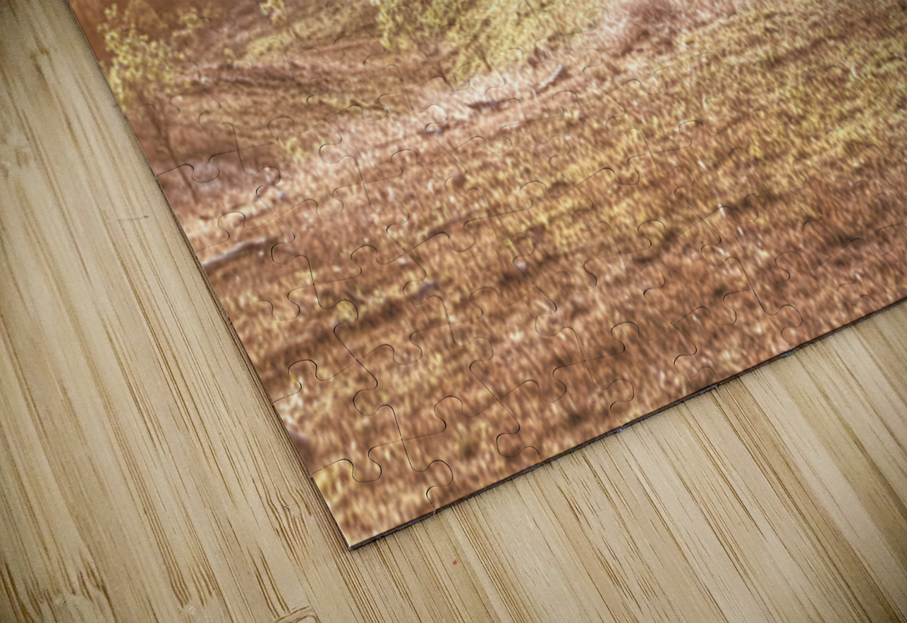 Country Harmony Jorgo Puzzle